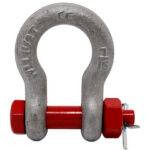 Bolt type anchor shackle - 159 | LIFTEUROP